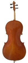 ANV Inst 19 Westbury Cello